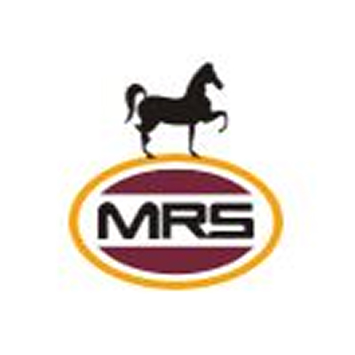 Strategic Business Advisory